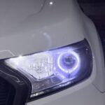 S 7675954 0